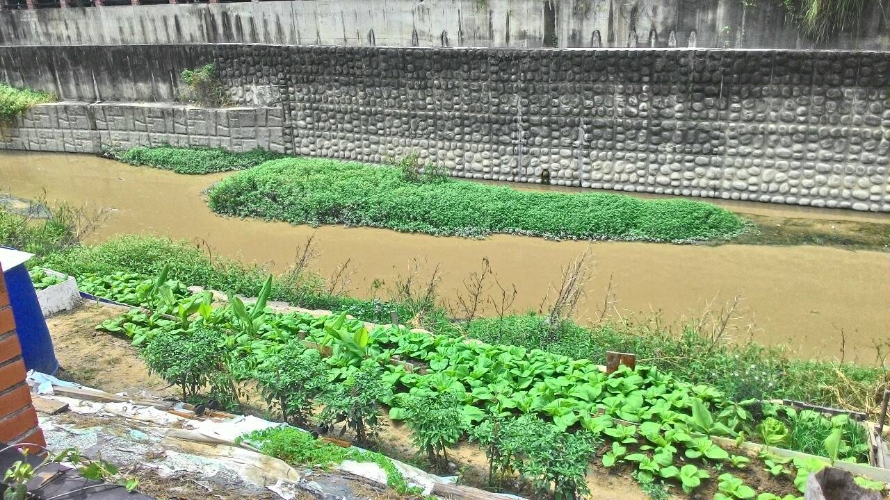 泥濘洗砂廢水汙染後勁溪 國寶礦業遭環局重罰停工