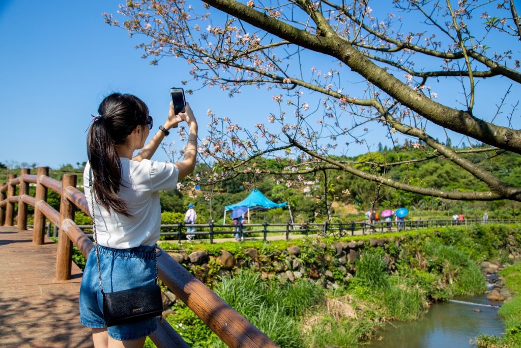 花現美景 福容浪漫賞花旅