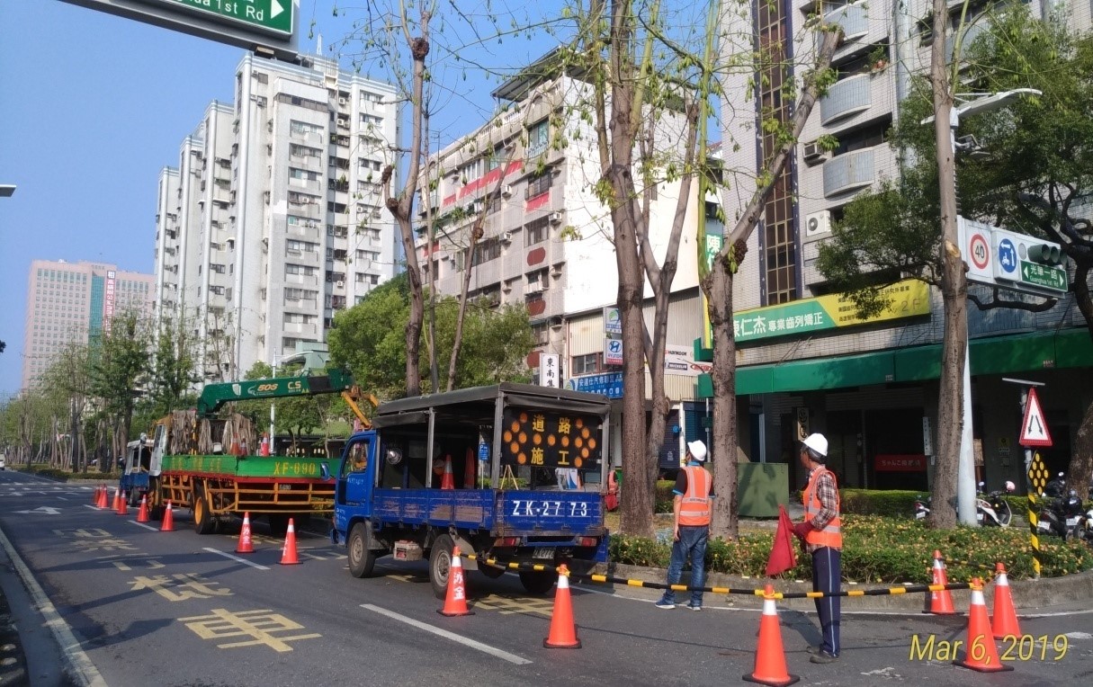 告別浪漫負擔 四維路全線修木擺脫飛絮困擾