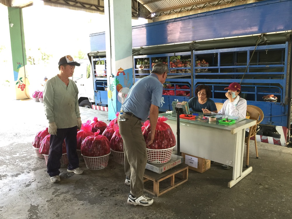 玉荷包開市 大樹鳳荔園區登場