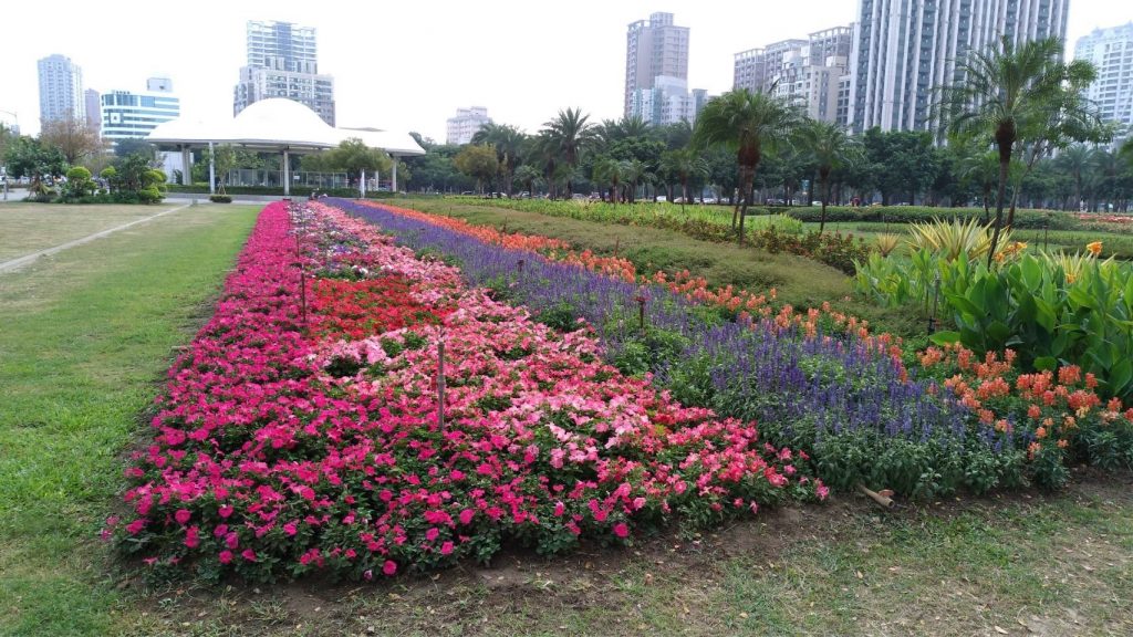 工務局加強公園重點巡檢 確保休憩場域舒適乾淨