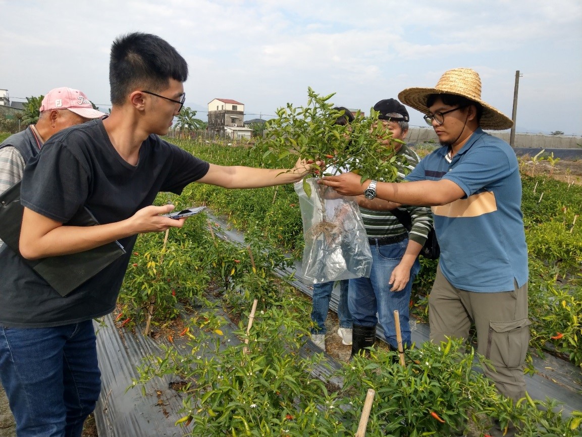 植醫做什麼？ 農作、食安把關全靠他