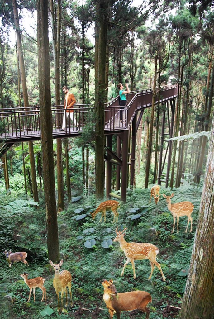 東高雄將成旅遊新寵兒！ 內門觀光園區聯外道路開通