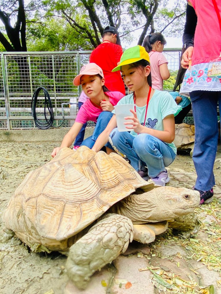 秋季企劃「動物森林假日學習營」開跑！名額有限快搶