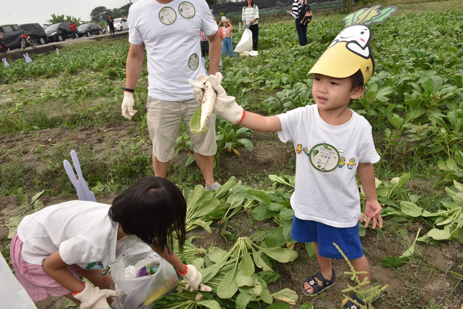 季節限定「白玉蘿蔔」開採囉！ 饕客不能錯過的好滋味