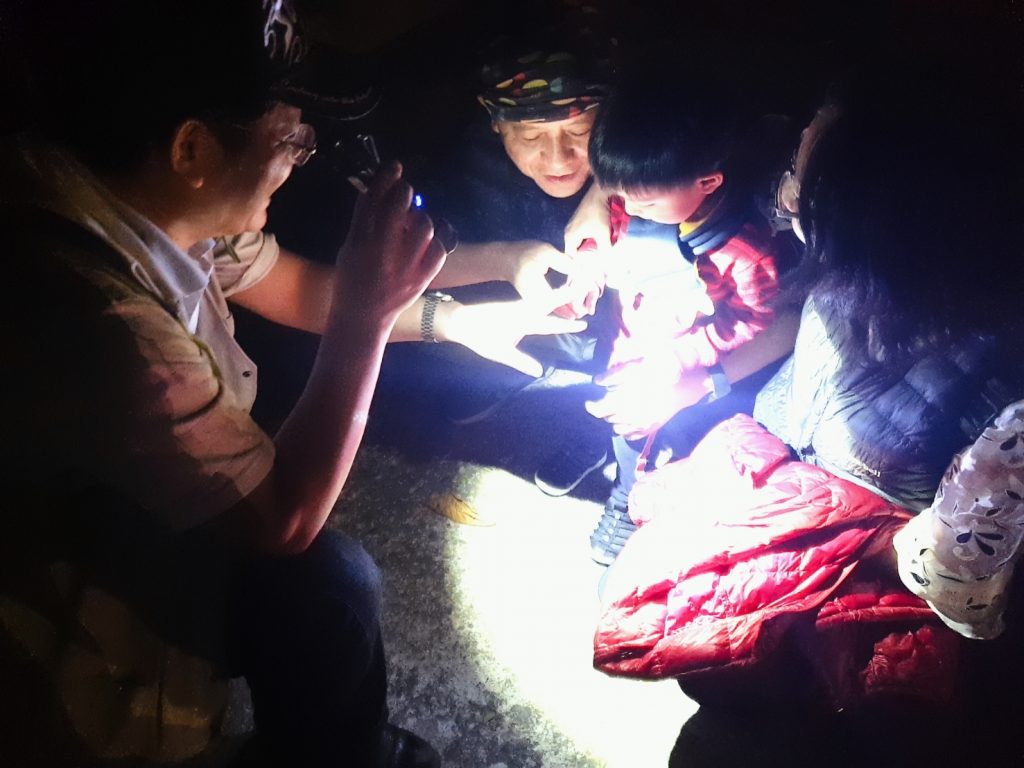 全國首創動物園夜露派對 壽山動物園辦親子專屬跨百活動