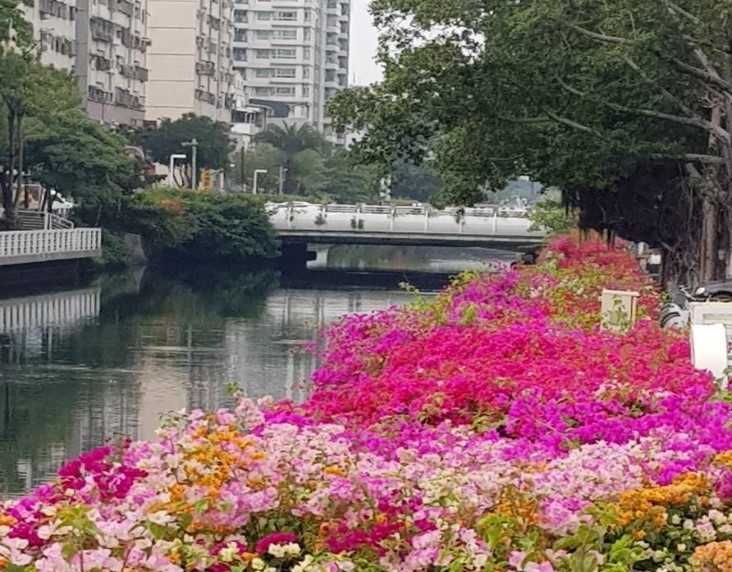 歲末最強網美打卡攻略！ 工務局打造神美市容