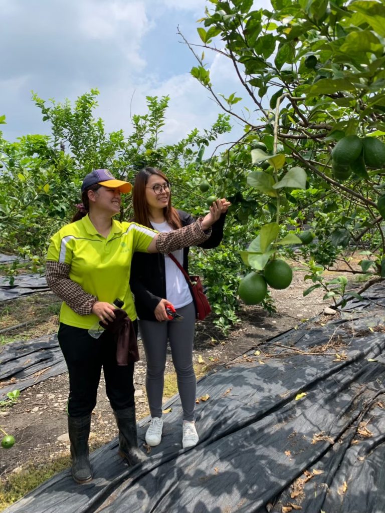 大學成立社會企業挺小農 產地直送創三贏