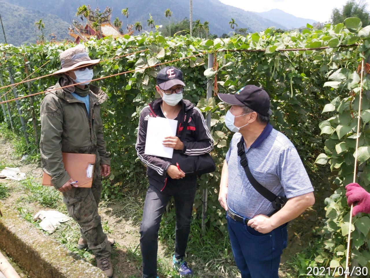 農業局建植物防疫平台 朝安全農業城市邁進