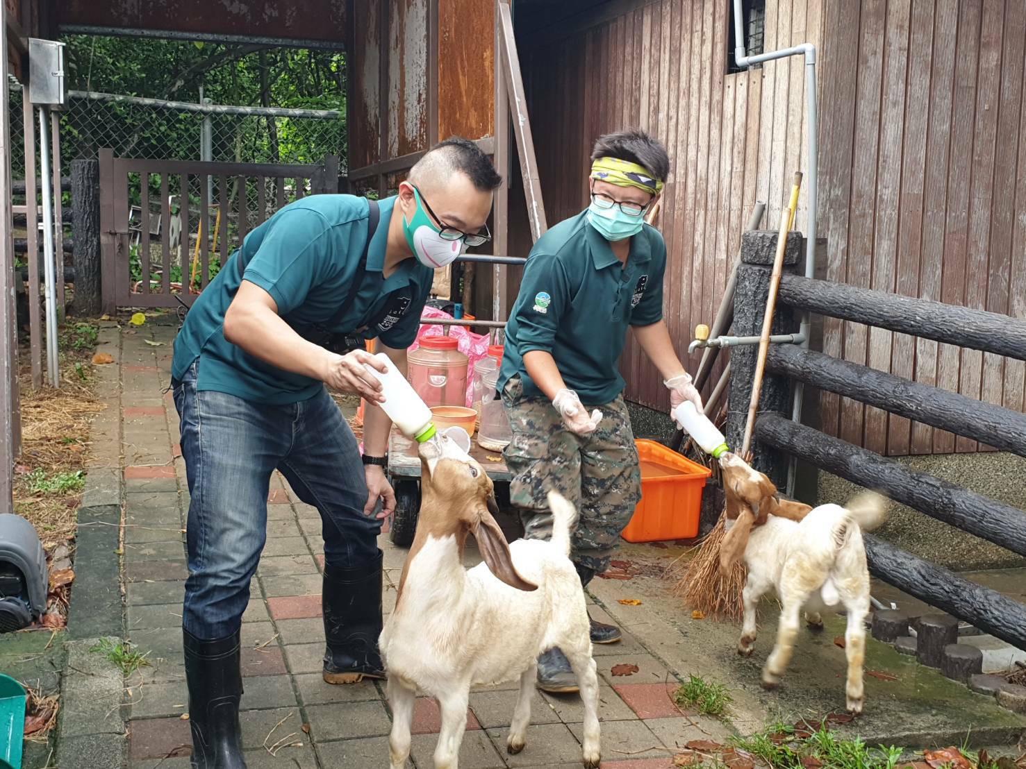 新動物園運動加緊進行 明年9月前完成