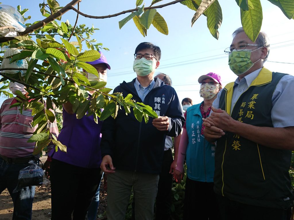 高雄農損破億 首波救助金農民今（19）日可拿到