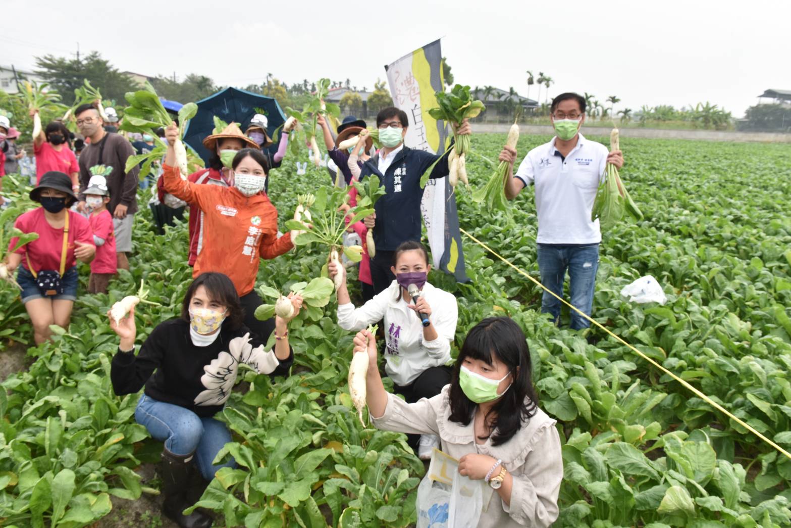 季節限定！美濃白玉蘿蔔限量開採