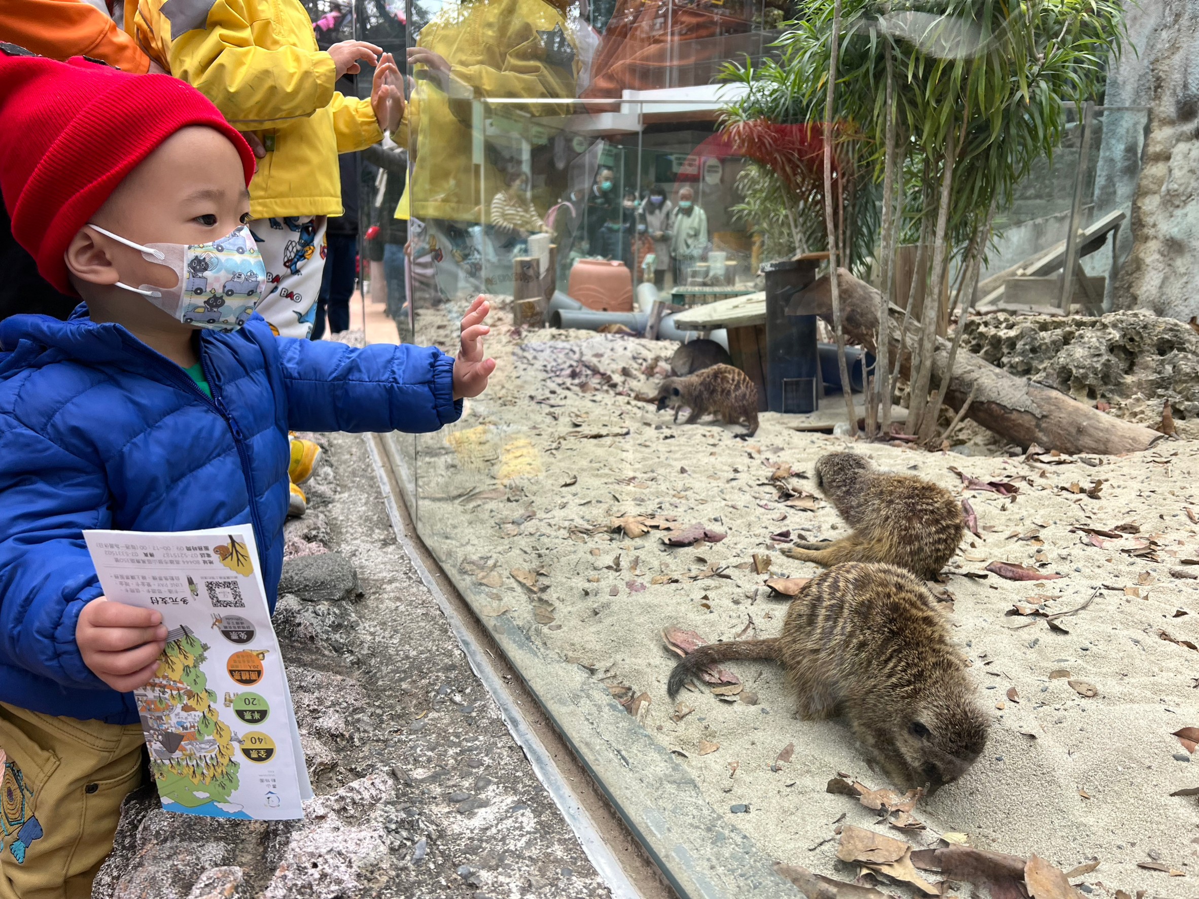 預購秒殺！壽山動物園慶兒童節加碼現場票1000張