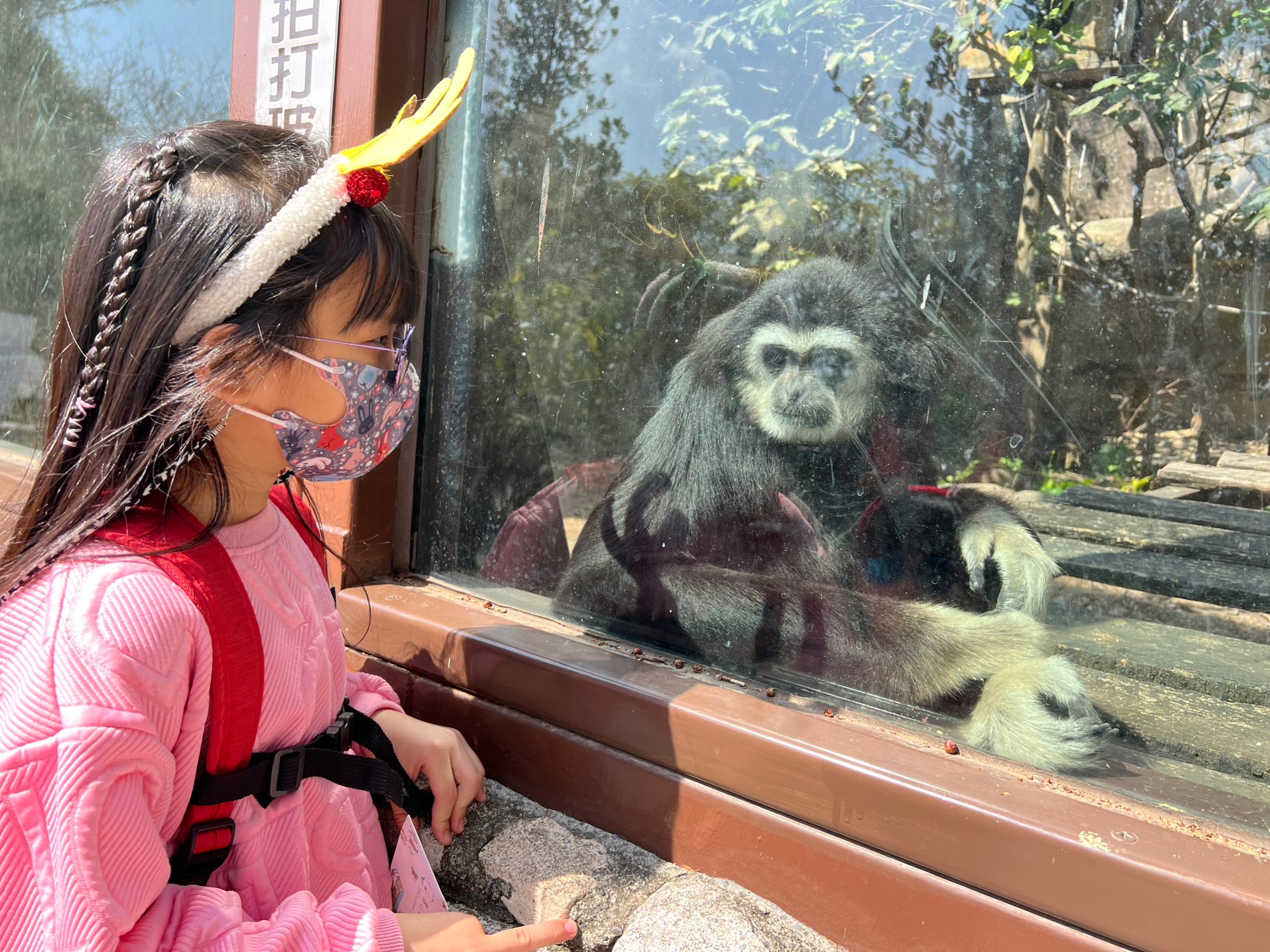 預購秒殺！壽山動物園慶兒童節加碼現場票1000張