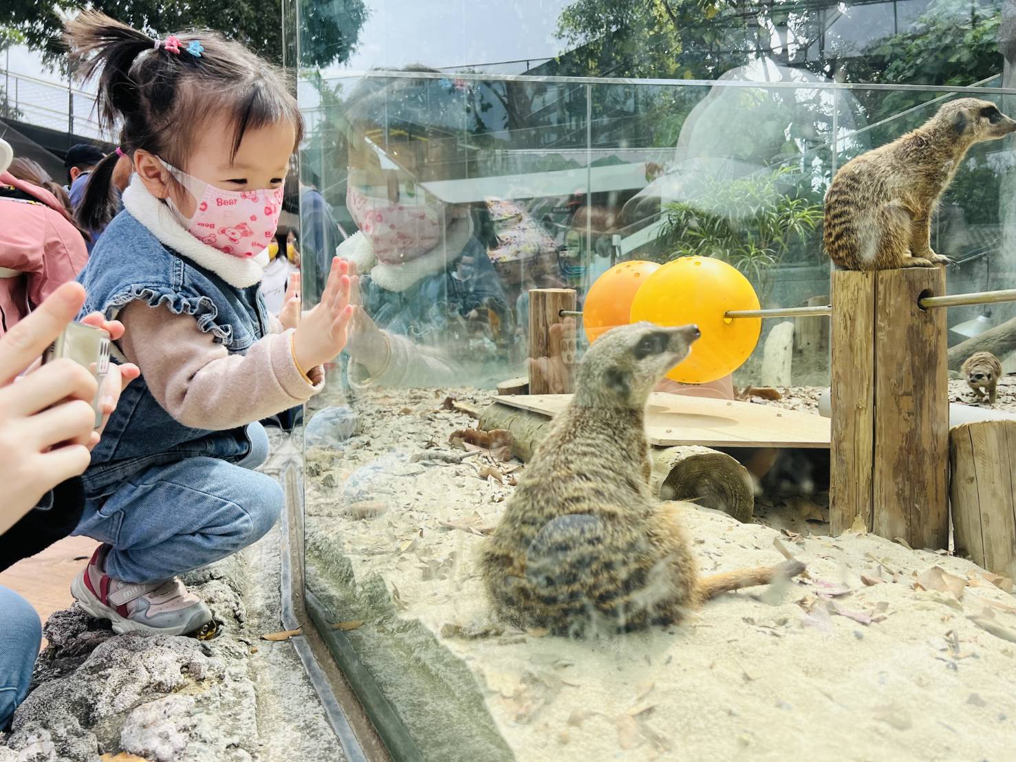 連假去哪？ 高雄這3大觀光園區適合大人小孩一起出遊