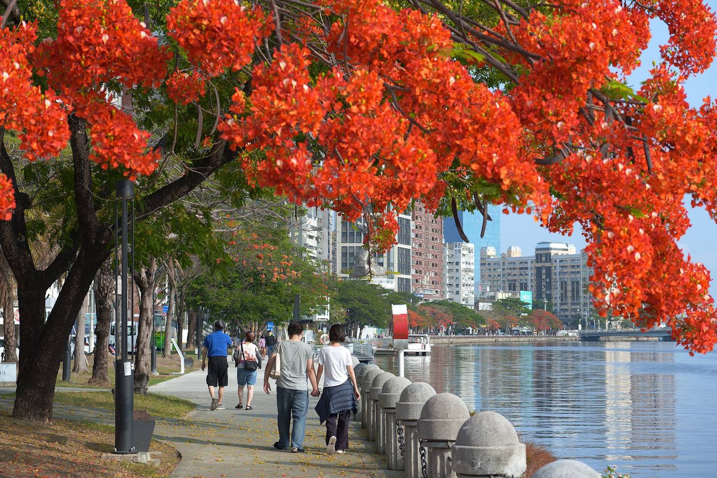 點亮初夏愛河右岸新風貌 河西市集連3周末登場