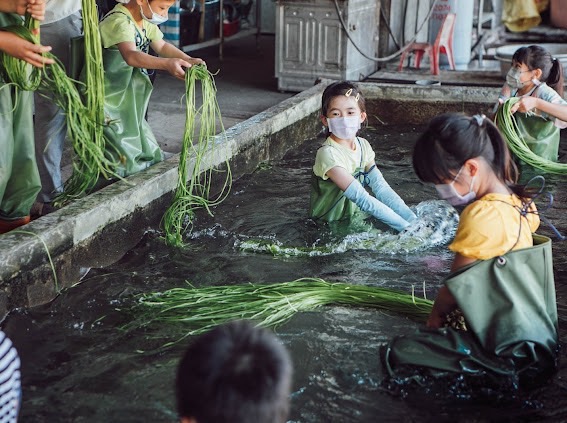 助攻「夏祭新鮮市」 國旅團體補助最高6,000元