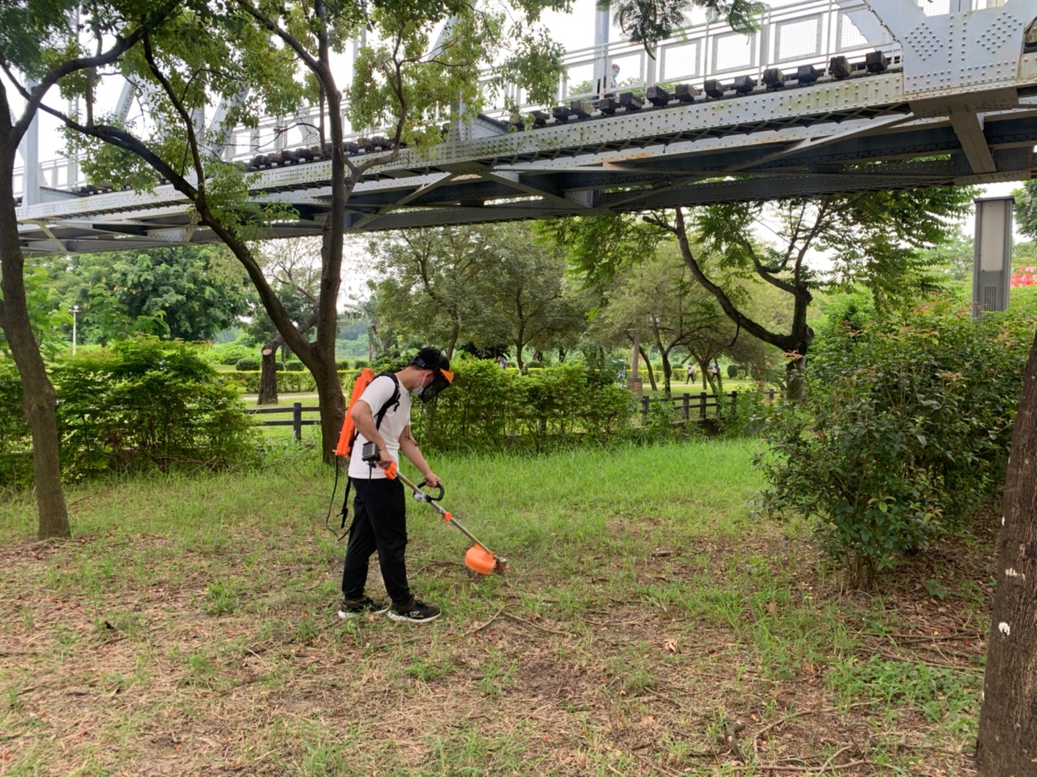 雜草清除別噴藥 高市編30萬元補助電動割草機