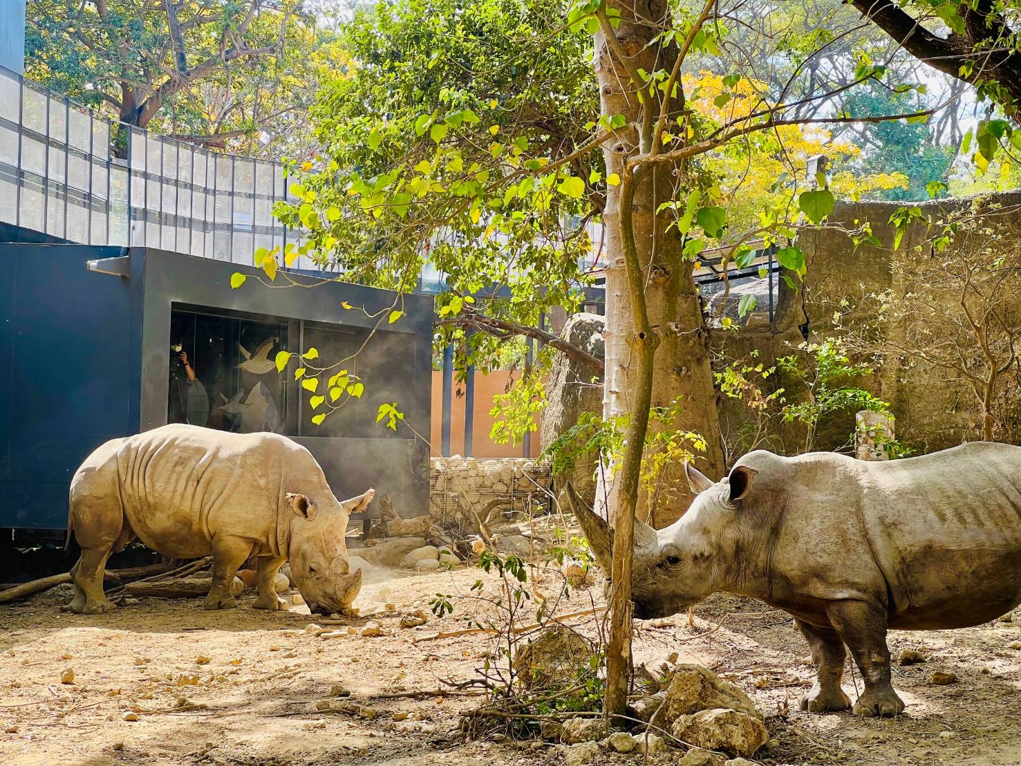 捷報！壽山動物園榮獲「台灣建築獎」首獎