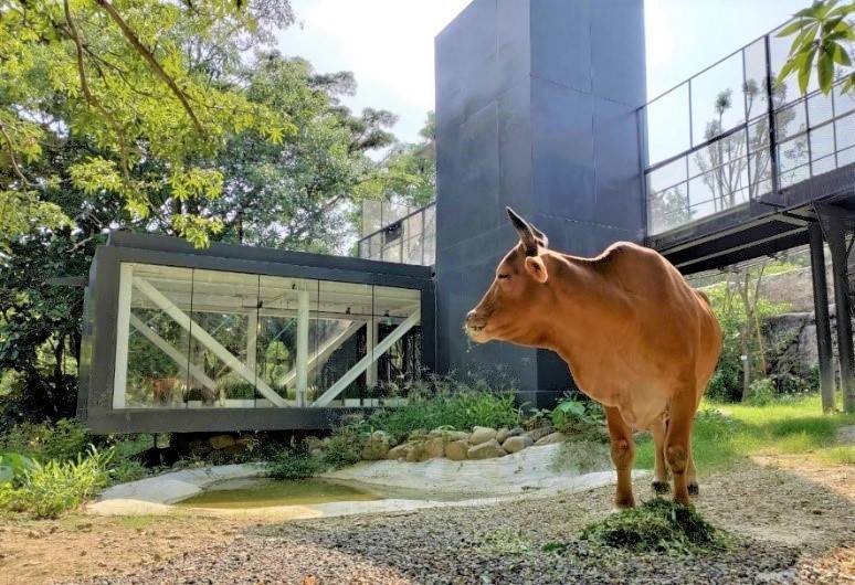 捷報！壽山動物園榮獲「台灣建築獎」首獎