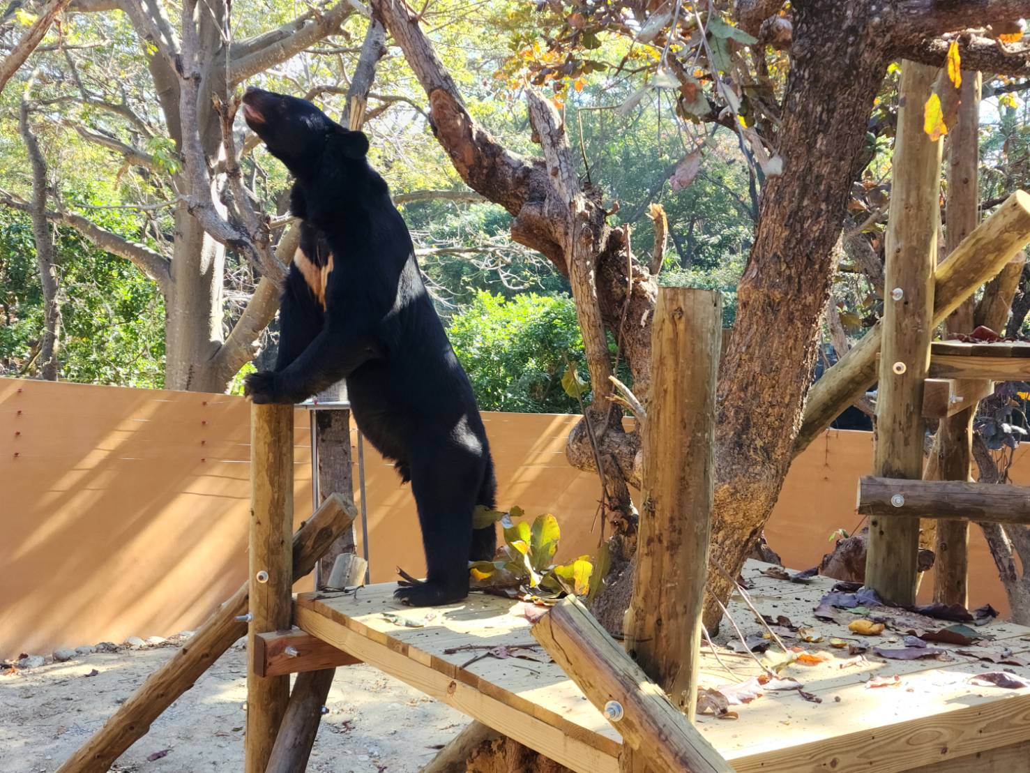 捷報！壽山動物園榮獲「台灣建築獎」首獎