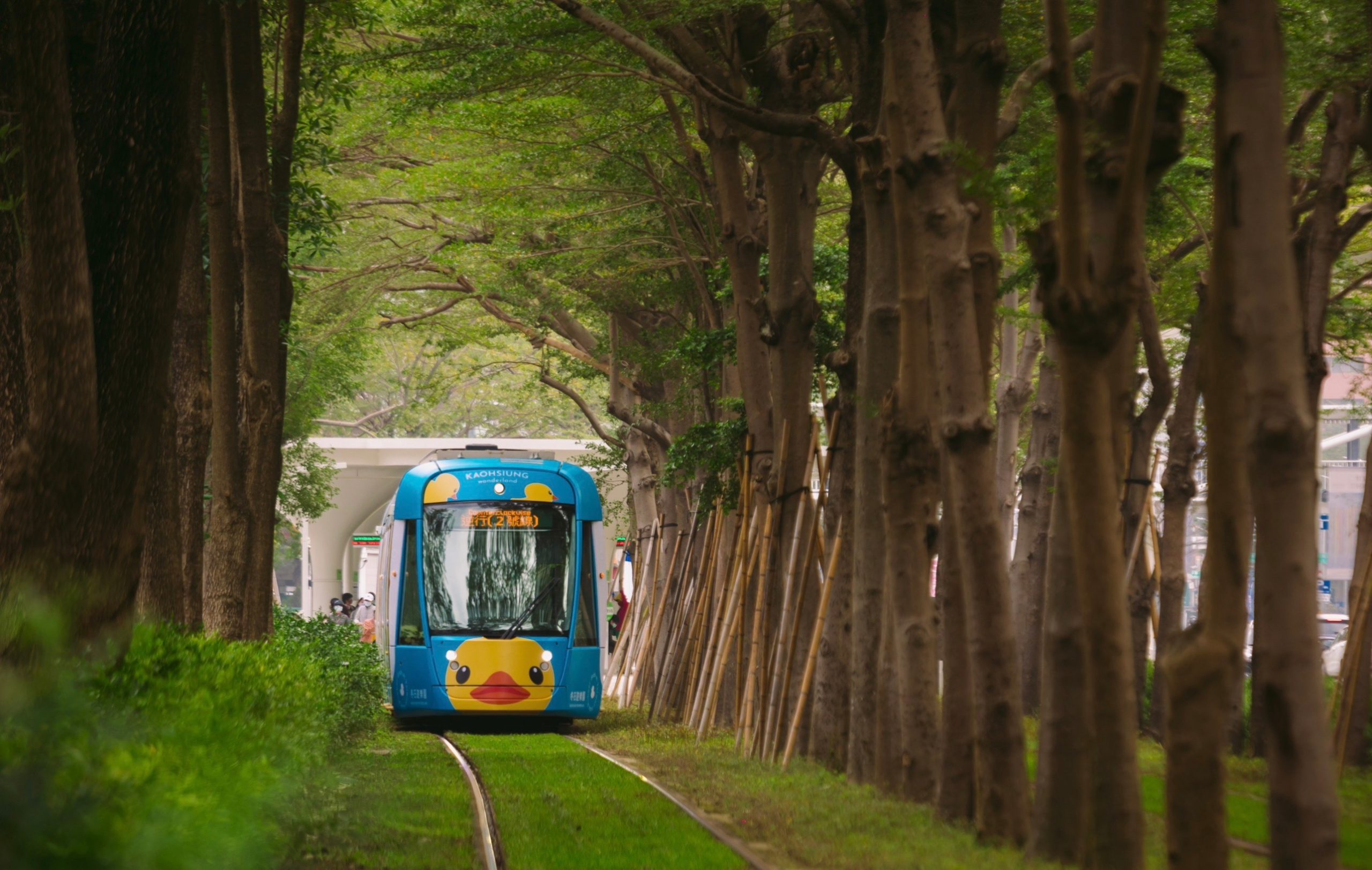 高雄冬日遊樂園：黃色小鴨主視覺曝光輕軌列車也登場