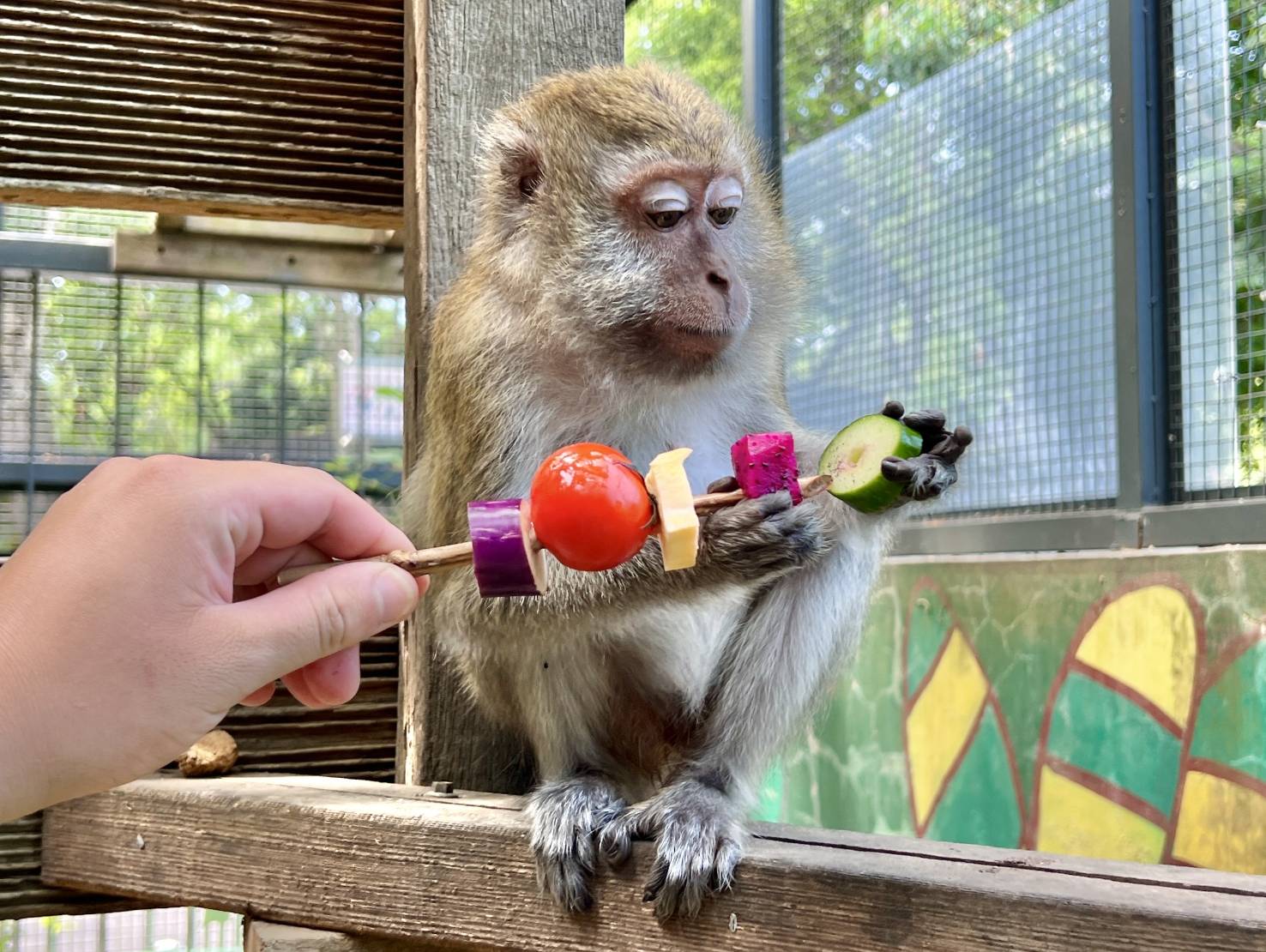 壽山動物園「野營派對」， 動物們也有烤肉過中秋