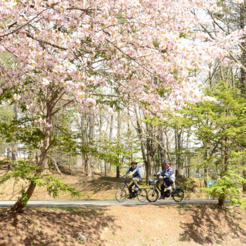 現場新聞